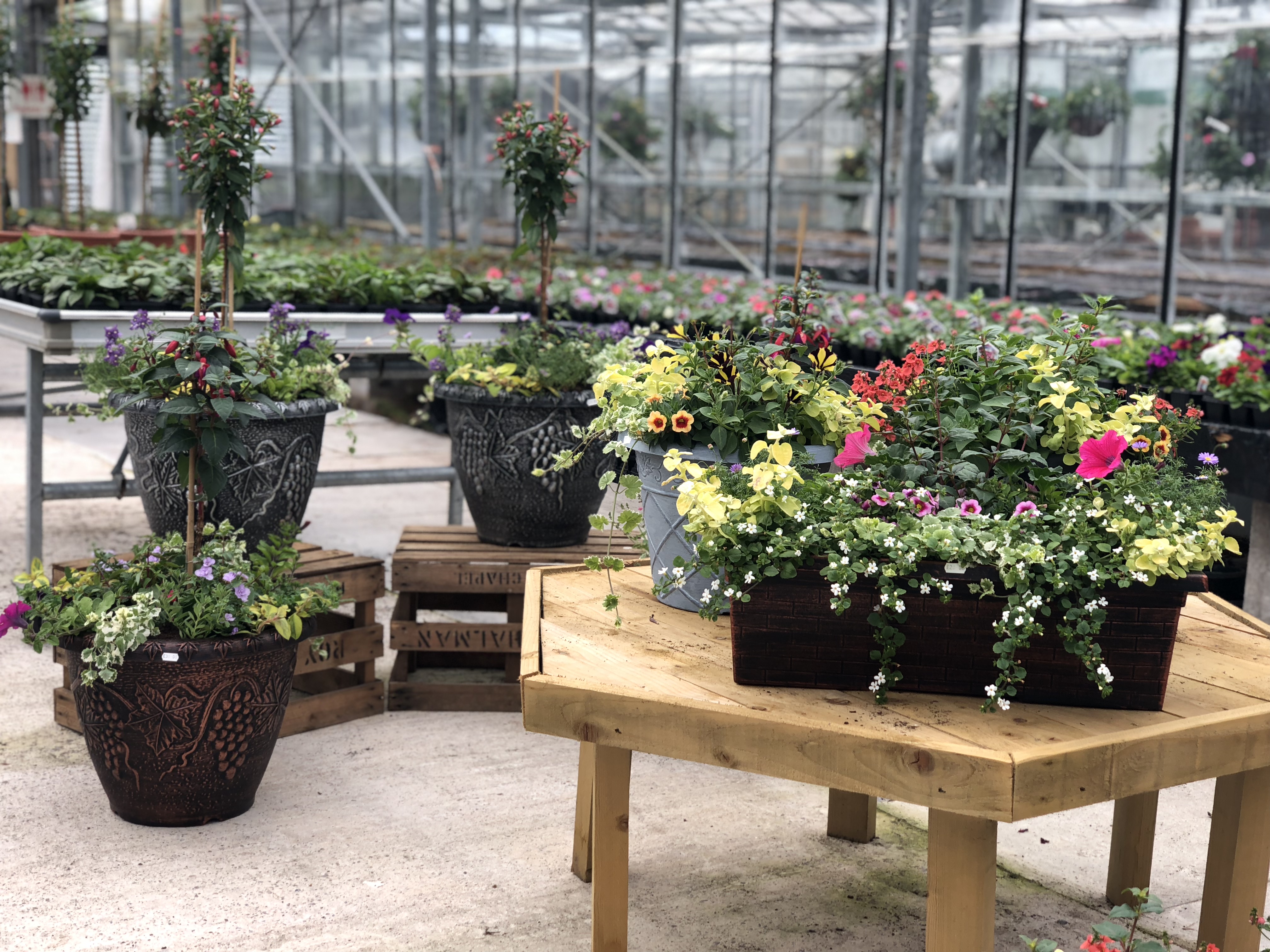 Home Lowes Farm Shop